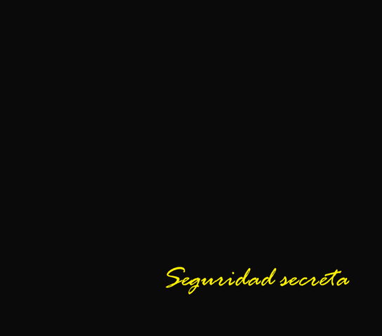 Archivo:Seguridad secreta.png