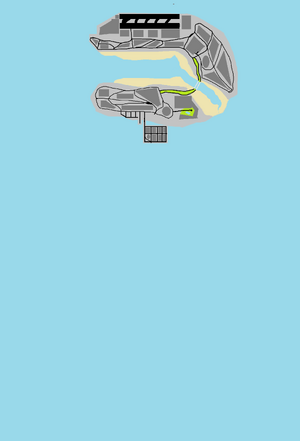 Airport.png