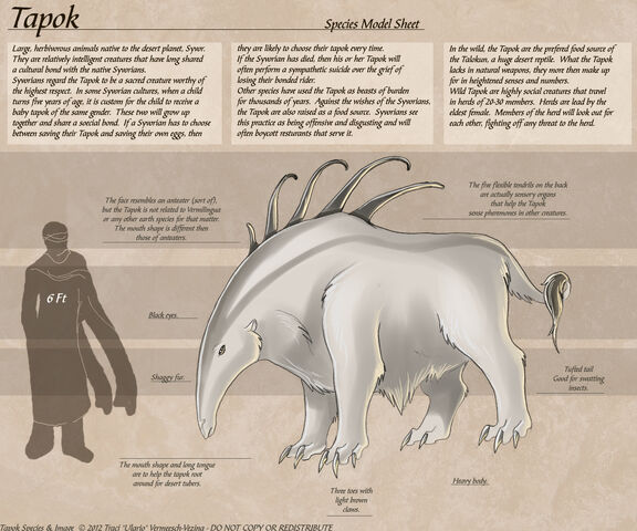 File:Tapok copy.jpg