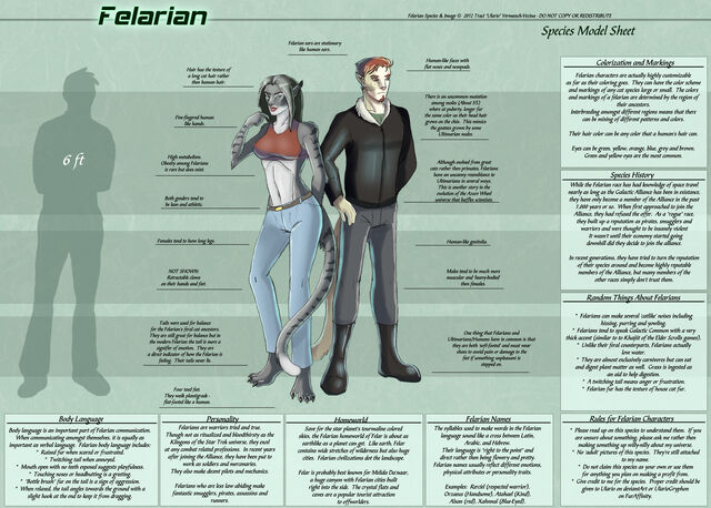 File:FelarianSpeciesSheet copy.jpg