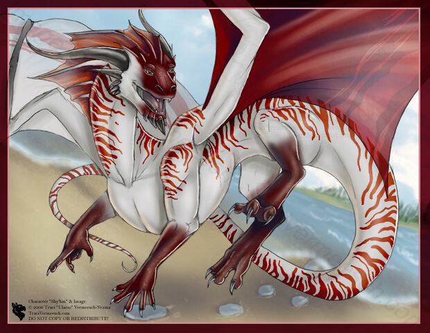 File:Nautilus Dragon by ulario.jpg