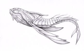 Aurelian Whale