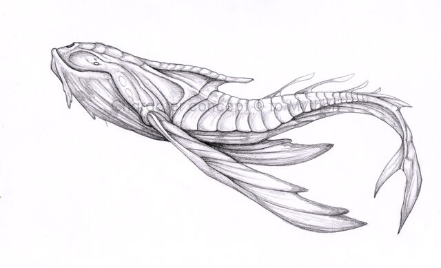 File:Aurelian Whale.jpg