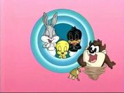 The looney riddle