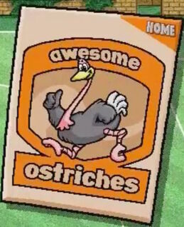 Awesome Ostriches