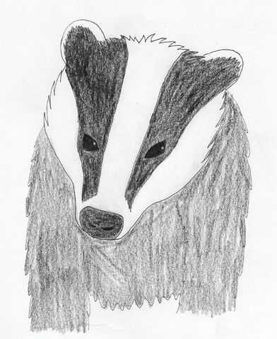 File:Badger by Spikes.jpg