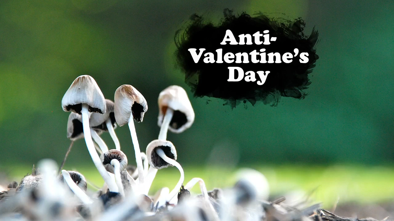Anti-Valentine's Day | Harvey Beaks! Wiki | FANDOM powered ...