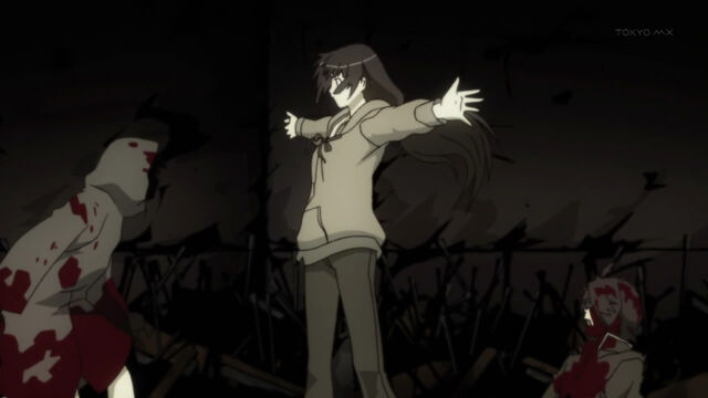 Archivo:Bakemonogatari-08-suruga-monkey-senjougahara-x-araragi-bloody-intervention.jpg