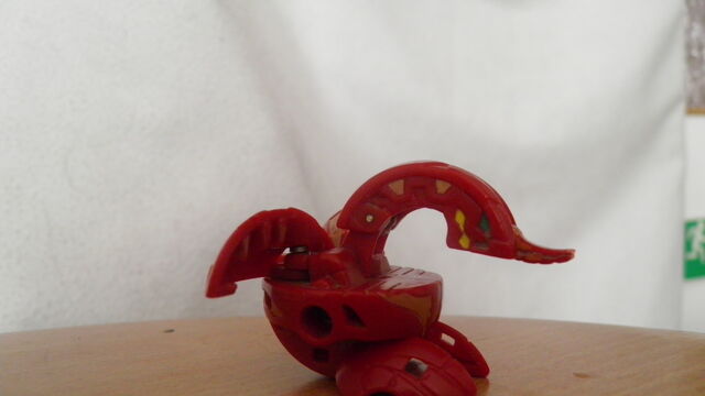 Plik:P4020236.jpg