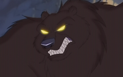 Grizzly Bear Wolf Quest