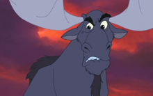 Bull Moose 2