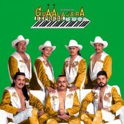 Guadalajara Express