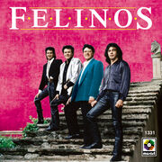 Felinos 95.jpg
