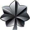 202-80px-lieutenant colonel insignia