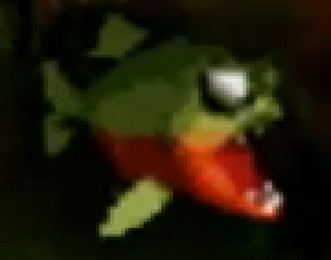 Piranha (Banjo-Kazooie)