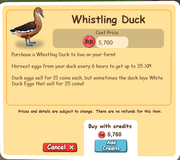 Whistling Duck
