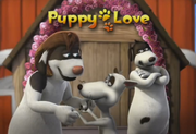 Puppy Love