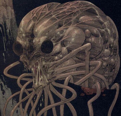 File:Mollusc.jpg