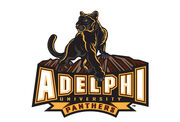 ADE