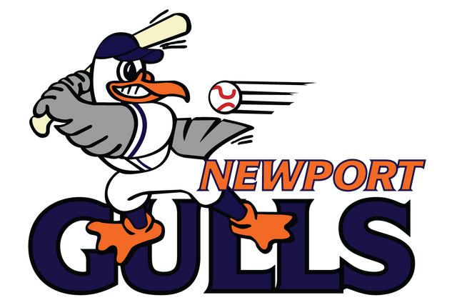 File:4048 newport gulls-primary-2001.png