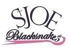 File:StJoeBlacksnakes.JPG