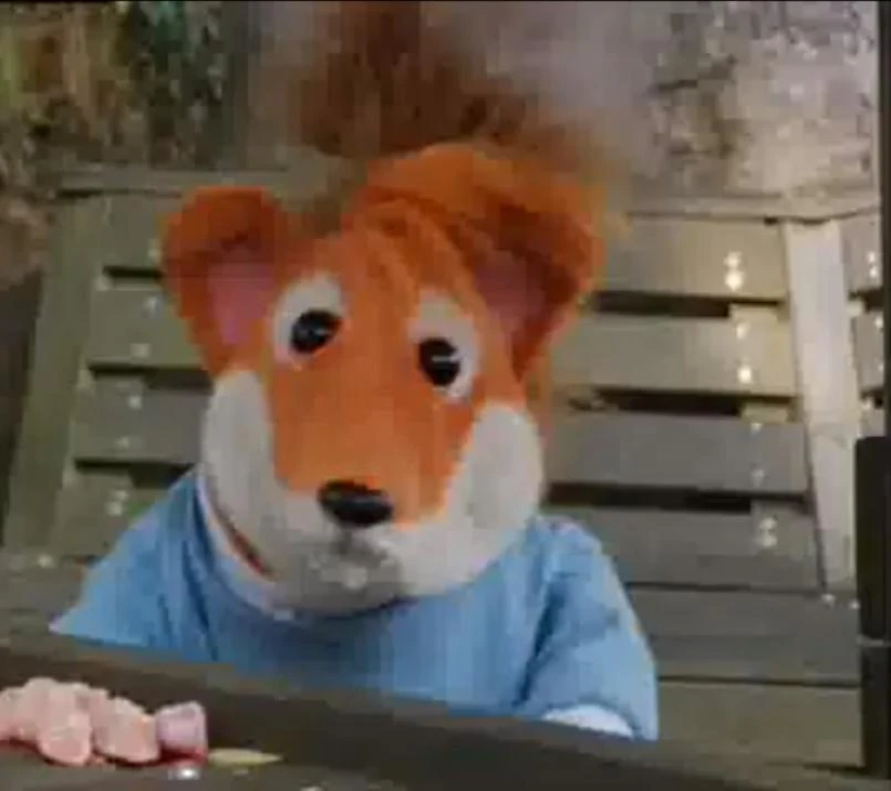 Bingo Brush Basil Brush Wiki FANDOM powered by Wikia