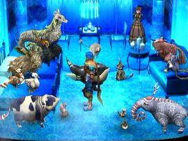 Kaffaljidhma complete animal room
