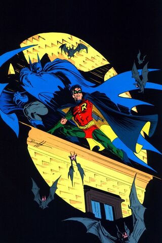 File:Robin Tim Drake 0002.jpg