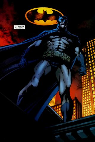 File:Batman 0140.jpg