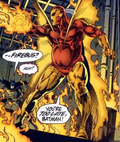 File:Firebug.jpg