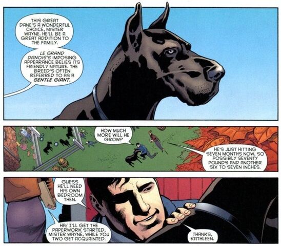 File:Batmanrobin2-2d ace the bat hound.jpg