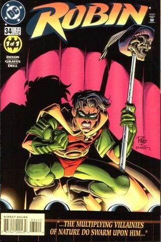 File:Robin34vvv.jpg