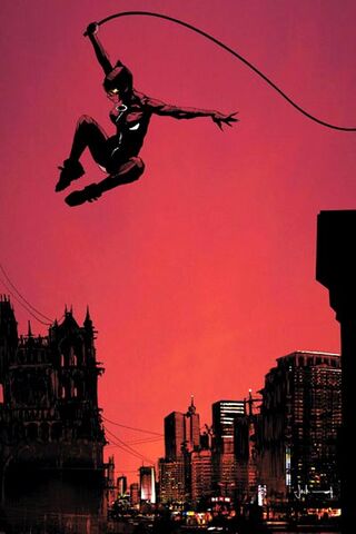 File:Catwoman 0048.jpg