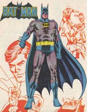Batman 2.jpg