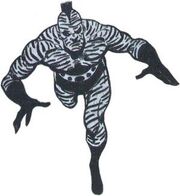 Zebra-Man 01.jpg