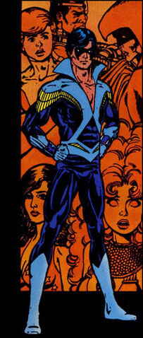 File:Nightwing First ToTT44.jpg