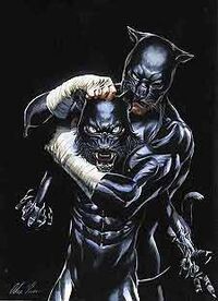 The 2-JSA Wildcats