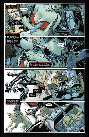 File:Catwoman1Previewpg1.jpg
