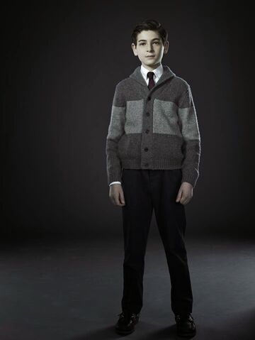 File:BruceWayne-Gotham2.jpg