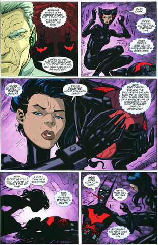 File:Catwoman beyond5.jpg