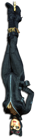 File:Catwoman up-down.png