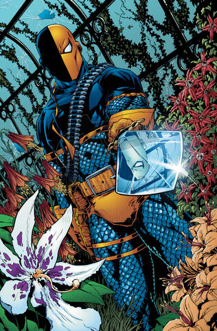 File:1687625-deathstroke.jpg