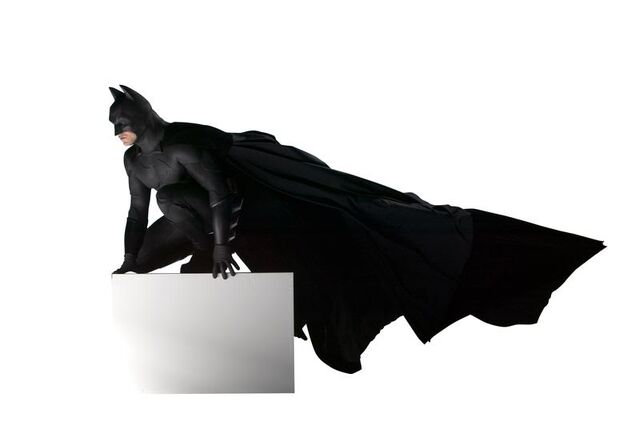 File:BatsBegins4.jpg