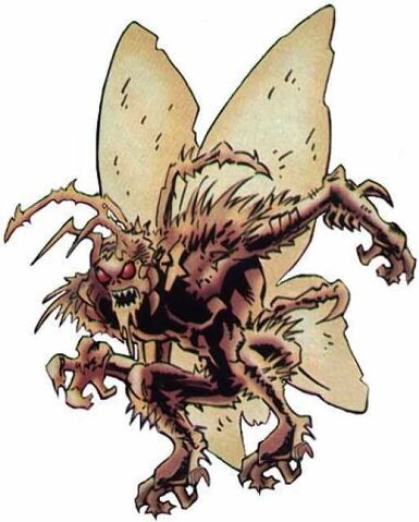 Archivo:194890-84217-charaxes.jpg