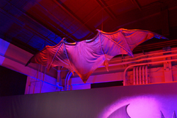 GliderCape