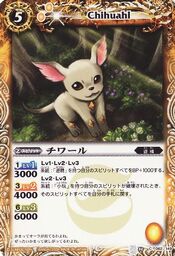Chihuahl1
