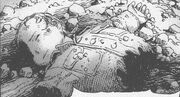 BAALO04 28 Giraud's body