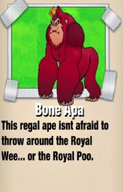 Bone Apa