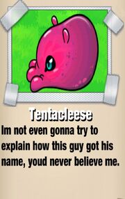 Tentacleese BBF