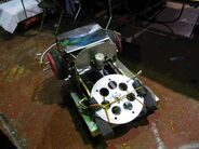Rhodehog5